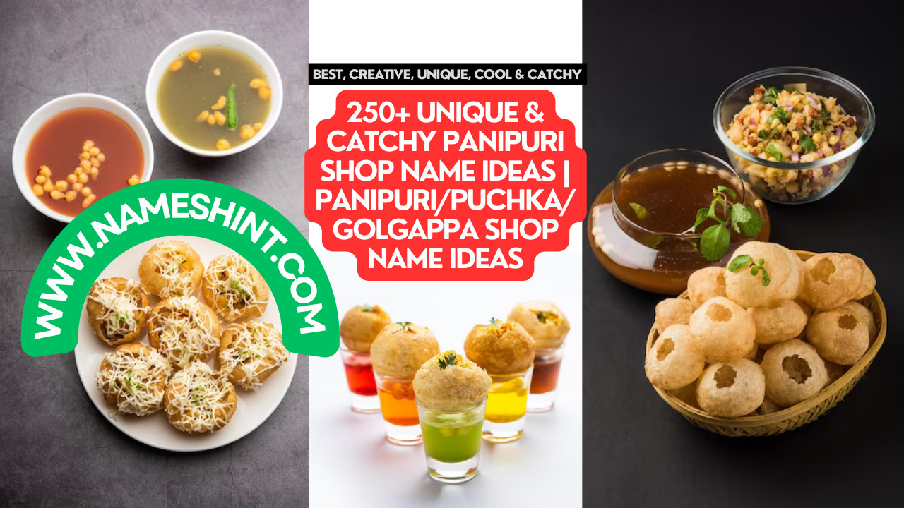 250+ Unique & Catchy Panipuri Shop Name Ideas Panipuri Puchka Golgappa Shop Name Ideas