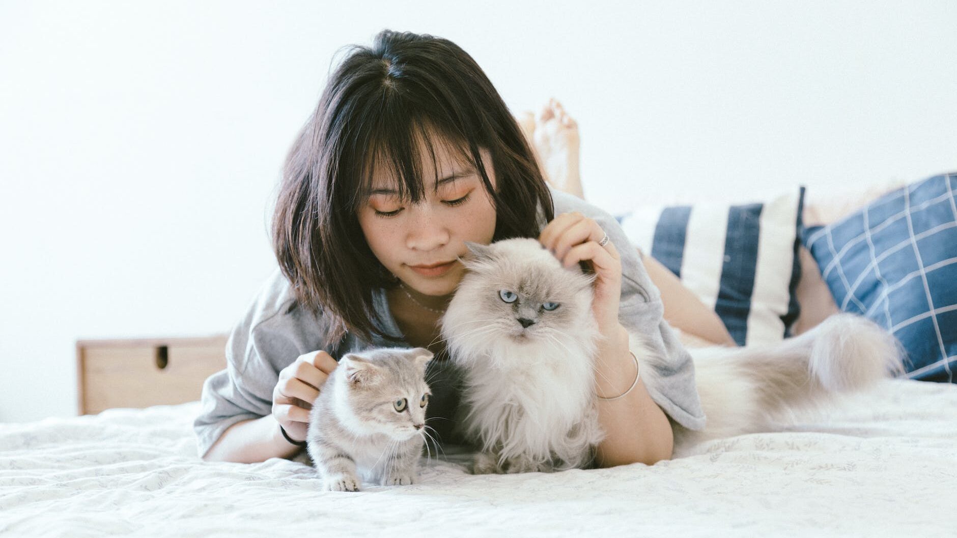 woman lying on bed with two cats